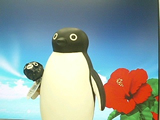 Suica�A��̓��֍s���B